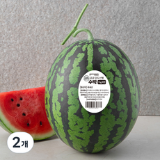 곰곰 당도선별 수박, 6kg 이상, 2개