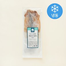 국내산 동해안 마른오징어 4미 (냉동), 300g, 1개