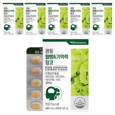 광동 혈행&기억력 징코, 60정, 6개