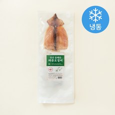 국내산 동해안 마른 오징어 (냉동), 75g, 1개