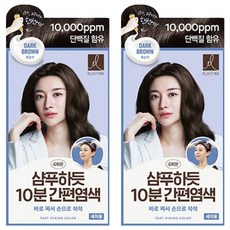엘라스틴 샴푸하듯 10분 간편 염색제, 흑갈색, 2개 흑갈색, 2개