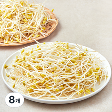 풀무원 국내산 무농약 인증 콩나물, 500g, 8개