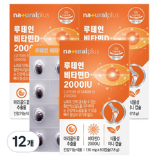 내츄럴플러스 루테인 비타민D 2000IU, 12개, 7.8g