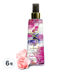 벨캠 퓨라비다 모이스처라이징 퍼퓸 바디미스트 카시스 & 오키드, 6개, 100ml