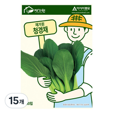 아시아종묘 씨앗 청경채 500립, 15개