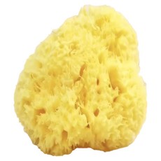 nIZio 希臘天然蜂巢海棉 特大型, 黃色, 1個