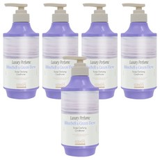 KERASYS 淨化豪華香水護髮素風信子和綠露, 5個, 550ml