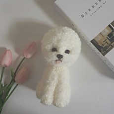 Confiance 針氈比熊冷凍 DIY 套組, 單一顏色, 2入