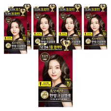 리엔 흑모비책 새치염색 크림, 흑갈색, 6개