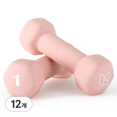 아리프 네오프렌 선인장 아령, 1kg, 12개