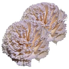 康乃馨 6.5cm 霧紫 10個裝 仿真花 居家裝飾 禮品