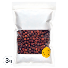 웰리트 국내산 산사, 3개, 600g
