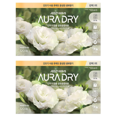아우라 드라이 섬유유연시트 스모키머스크 본품, 120개입, 2개