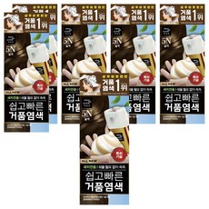 미쟝센 올뉴 쉽고 빠른 거품 새치전용 염모제, 5N갈색, 5개