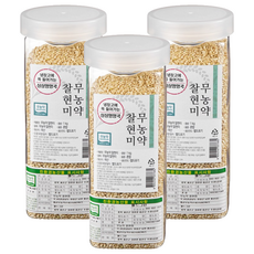 월그그린 싱싱영양통 무농약 찰현미, 1kg, 3개