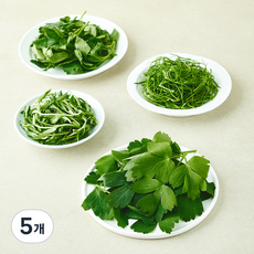 봄나물 샘플러, 5개, 400g