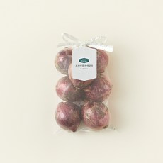 프리미엄 자색양파, 1.5kg, 1개