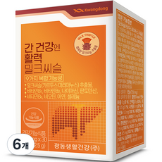 광동 간 건강엔 활력 밀크씨슬, 6개, 22.5g