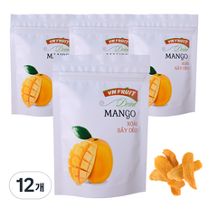 VNFRUIT 芒果乾, 100g, 12包
