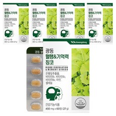 광동 혈행&기억력 징코, 60정, 5개