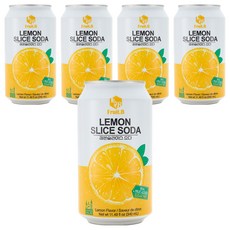 FRUIT B 真的檸檬氣泡飲, 5個, 340ml