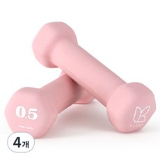 아리프 네오프렌 선인장 아령, 500g, 4개