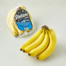 베트남산 스텔라나 고산지 바나나, 1개, 800g