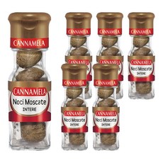 칸나멜라 넛맥 홀, 14g, 6개