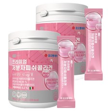 코오롱제약 프리미엄 저분자 피쉬 콜라겐 30p, 60g, 2개
