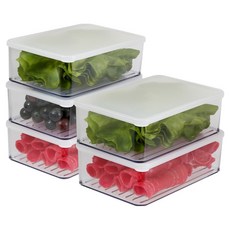 실리쿡 냉장고정리용기 시스루 깊은2호, 1개입, 5개