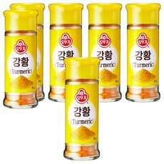 오뚜기 강황, 48g, 6개