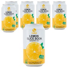 FRUIT B 真的檸檬氣泡飲, 6個, 340ml