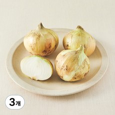 국내산 친환경 양파, 800g, 3개
