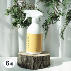 Paintinfo 正宗扁柏水芬多精噴霧除臭劑補充裝, 1L, 6個