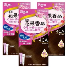Bigen 美源 花果香快速染髮霜, 4CA摩卡棕色, 3盒