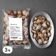 바다자리 자연산 바지락, 1kg, 3개