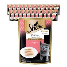 쉬바 키튼 고양이 간식 파우치, 닭, 70g, 24개