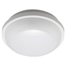 EVERLIGHT 億光 16W星庭LED吸頂燈, IP65防水等級 節能省電, 自然光