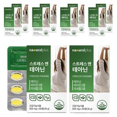 내츄럴플러스 스트레스 엔 테아닌 36g, 60정, 10개