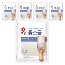 CJ제일제당 백설 꽃소금, 3kg, 5개