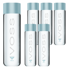 VOSS 芙絲 挪威天然礦泉水 PET瓶裝 500ml, 6瓶