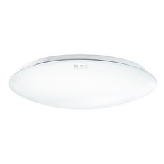 DANCELIGHT 舞光 30W 吸頂燈 6500K, 白光