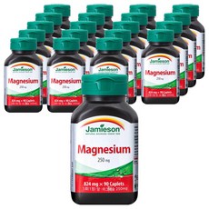 자미에슨 마그네슘 250mg, 20개, 90정
