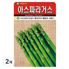 아람종묘 아스파라거스 씨앗 50립, 2개