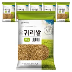 건강한밥상 국산 귀리쌀, 1kg, 6개