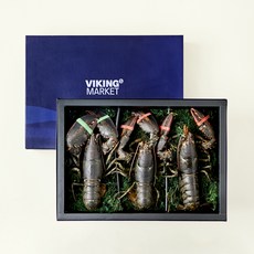바이킹마켓 활 랍스타 3미 선물세트 (냉장), 2.1kg 이상, 1세트