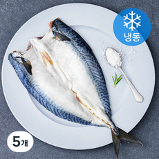 아라찬 안동간고등어 (냉동), 250g, 5개