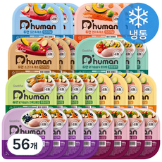 듀먼 전연령용 강아지 종합 8종 버라이어티 화식사료, 혼합맛, 100g, 56개