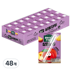 신세계푸드 올바르고 반듯한 상콤자두, 48개, 120ml