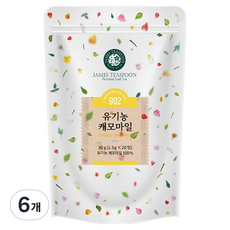 제임스티스푼 유기농 캐모마일차, 1.5g, 20개입, 6개